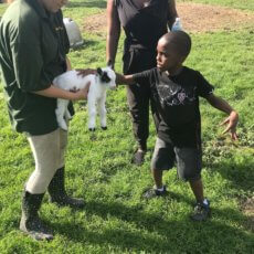 our team, Matthews, NC