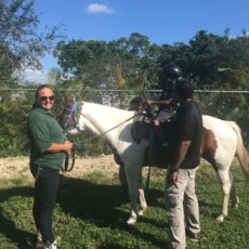 our team, Matthews, NC