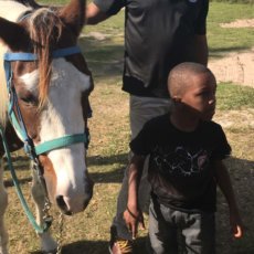 our team, Matthews, NC